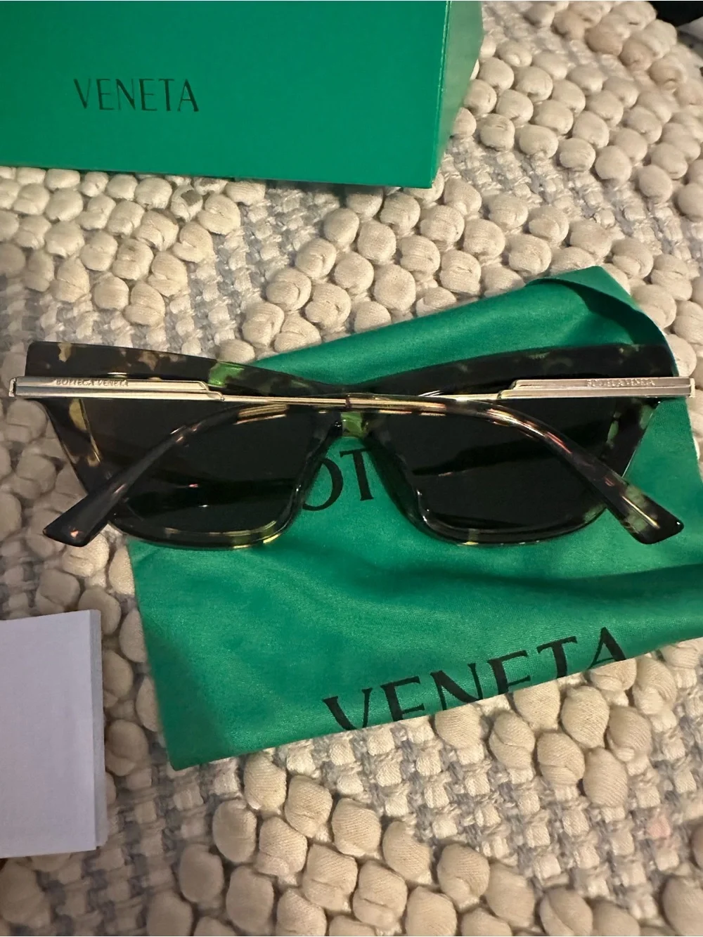 Bottega Veneta designer cat